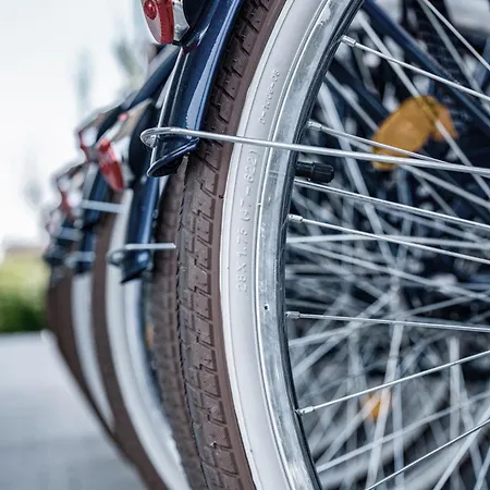 Rosa Style Apart Otel